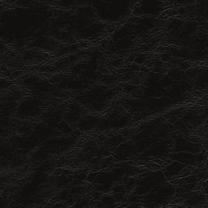 Kravet Design - Equine-8