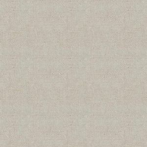 Kravet Basics - 17207-1