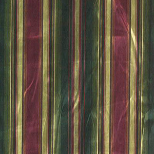 Dianthus Stripe - Tourmaline