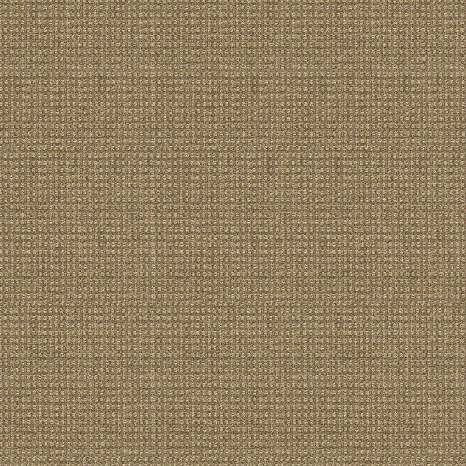 \""