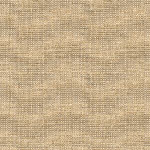 Kravet Smart - 31154-16
