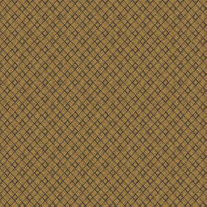 Hatchback - Inca