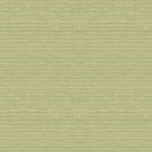 Kravet Design - 32519-15