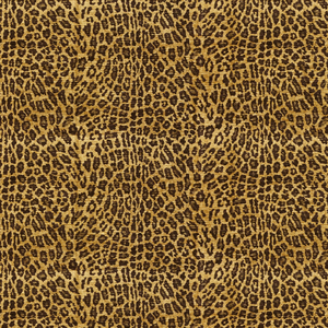 Savvy Safari - Leopard