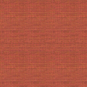 Elect - Watermelon