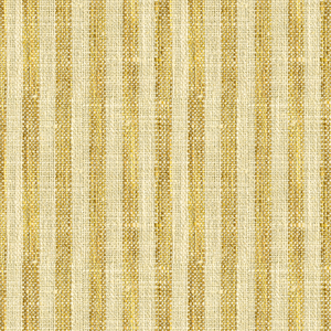 Kravet Basics - 34080-416