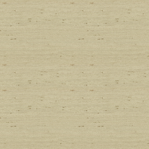 Kravet Basics - 3807-1121
