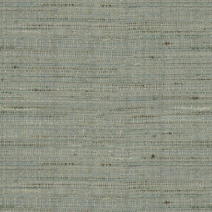 Kravet Basics - 4319-13