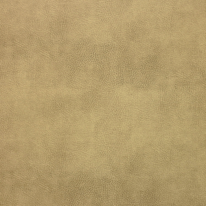 Kravet Design - Caswell-16