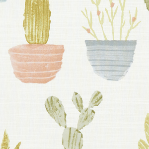 Cactus - Pastel