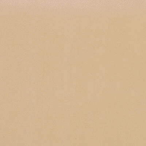 Kravet Design - Fawn-16