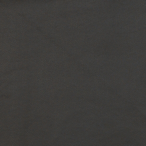 Kravet Design - Fawn-8