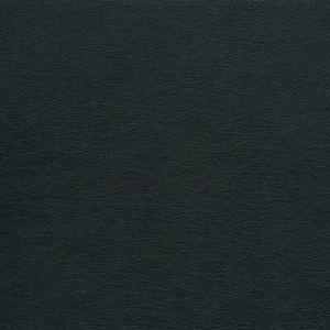 Kravet Design - Gato-21