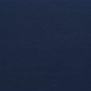 Kravet Design - Gato-5