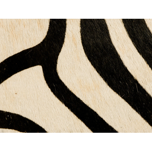 Painted Zebra - Natural