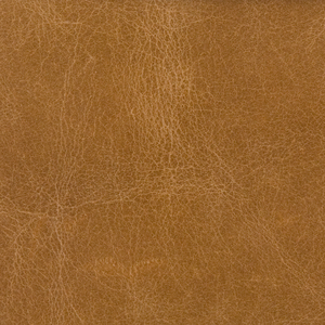 Kravet Couture - L-Cosmo-Buck