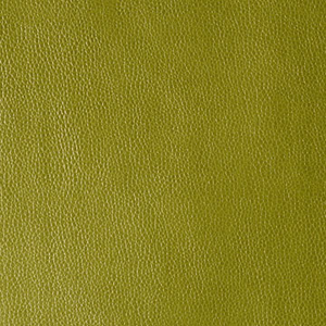 Rumors - Wasabi