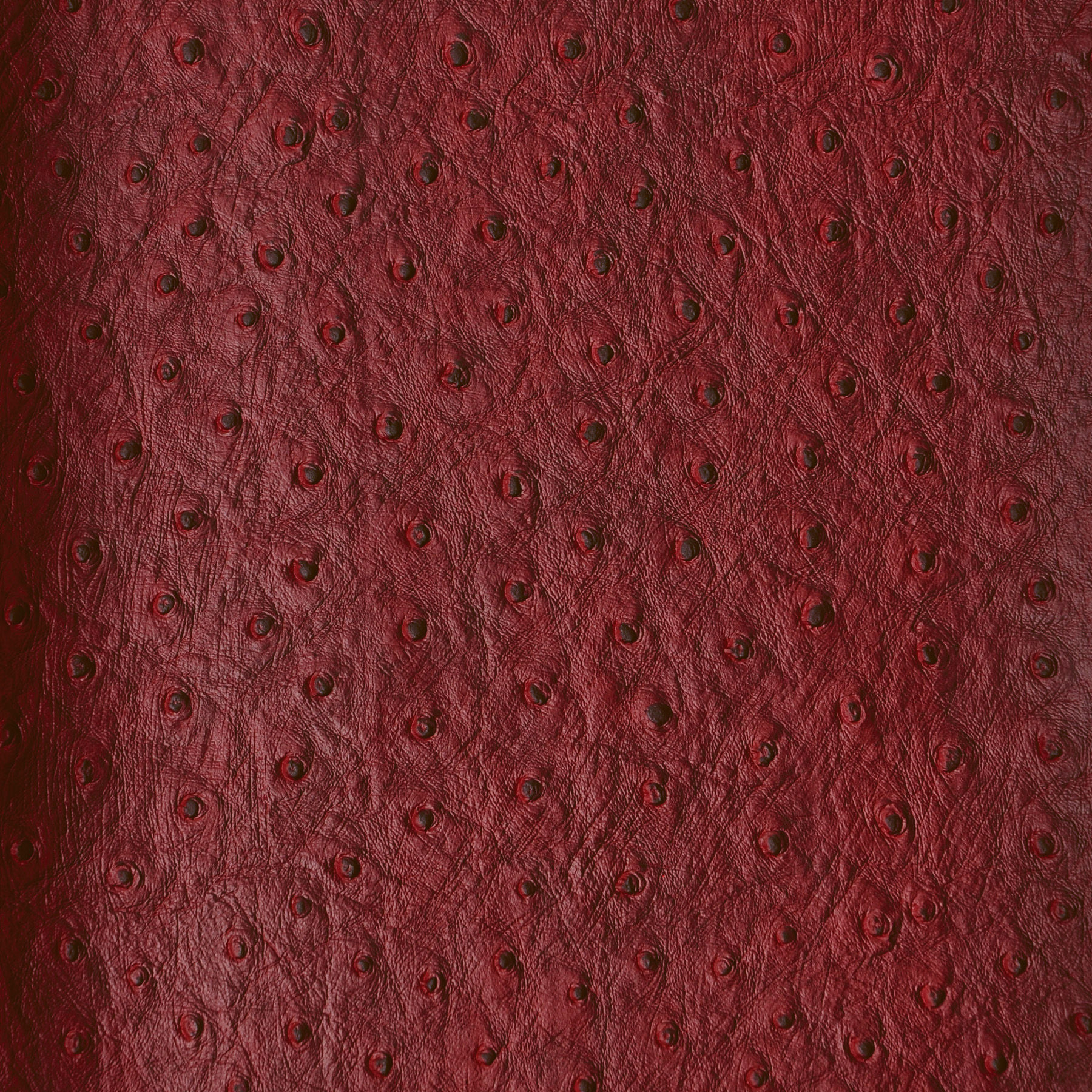 \""