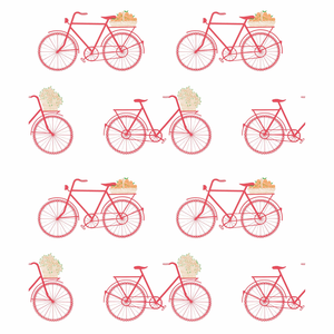Bicicletas - Rosa