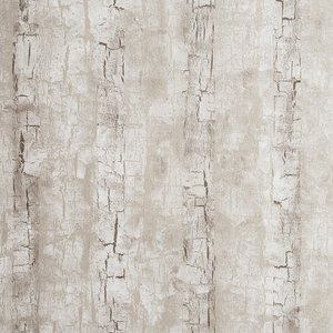 Tree Bark - Birch