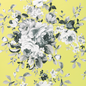 Emeline - Citron
