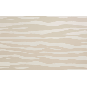 Mona Zebra - Desert