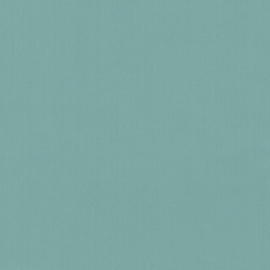 Kravet Basics - 35916-13