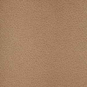 Kravet Design - Crisp-106