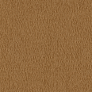 Kravet Design - Cured-166