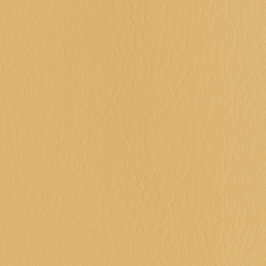 Forza - Butterscotch