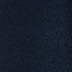 Kravet Design - Ali-550