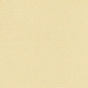 Kravet Design - Mindy-1101