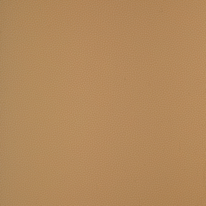 Kravet Design - Bind-116