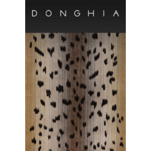 DONGHIA III