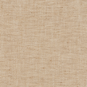 Kravet Basics - 37269-161