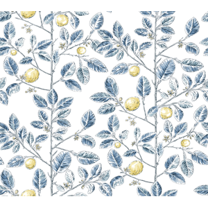 Kravet Design - W4241-540