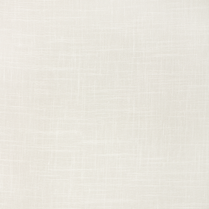 Kravet Basics - 4664-101