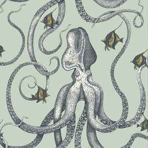 Octopoda Grand - 21