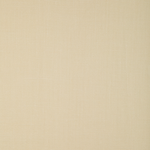 Kravet Basics - 37322-111