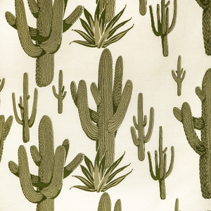 Cacti Land - Grove