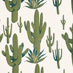 Cacti Land Wp - Agave
