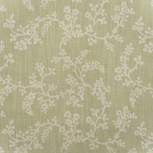 Vine - Fennel