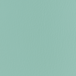 Forza - Spearmint