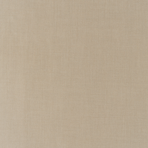 Kravet Basics - 35372-616