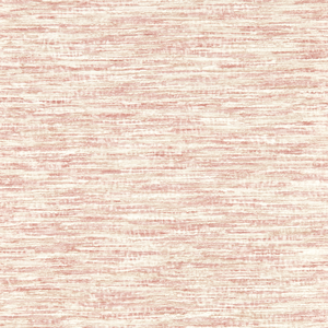 Dritto - Blush Wp