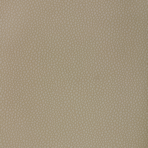 Kravet Design - Pietra-121