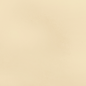 Kravet Design - Beech-1