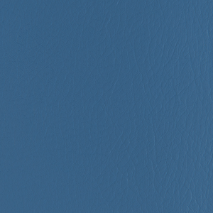 Forza - Neptune