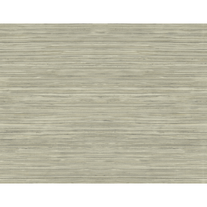 Grasscloth Texture - Taupe