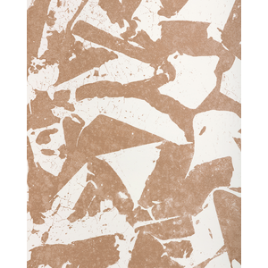 Social Canvas - Terra